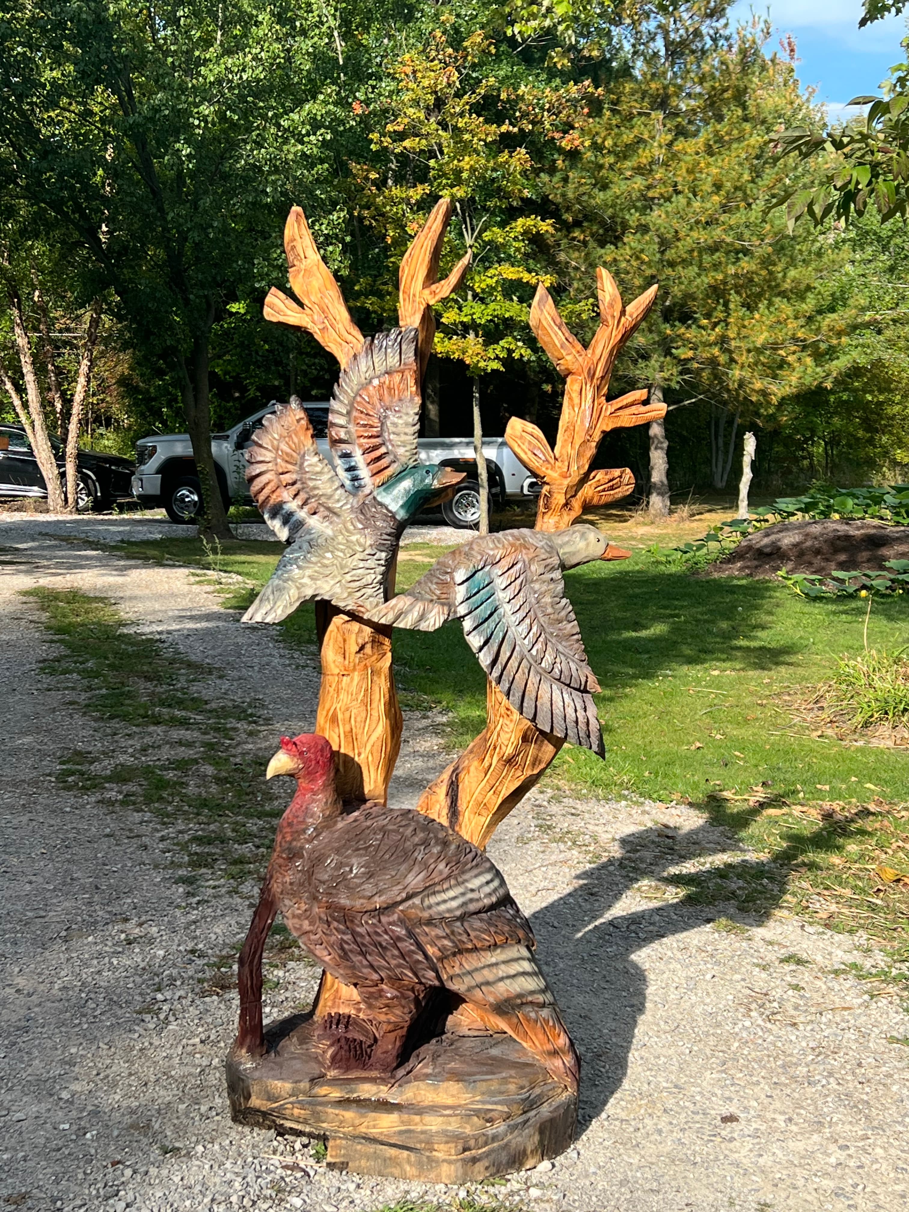 Bird