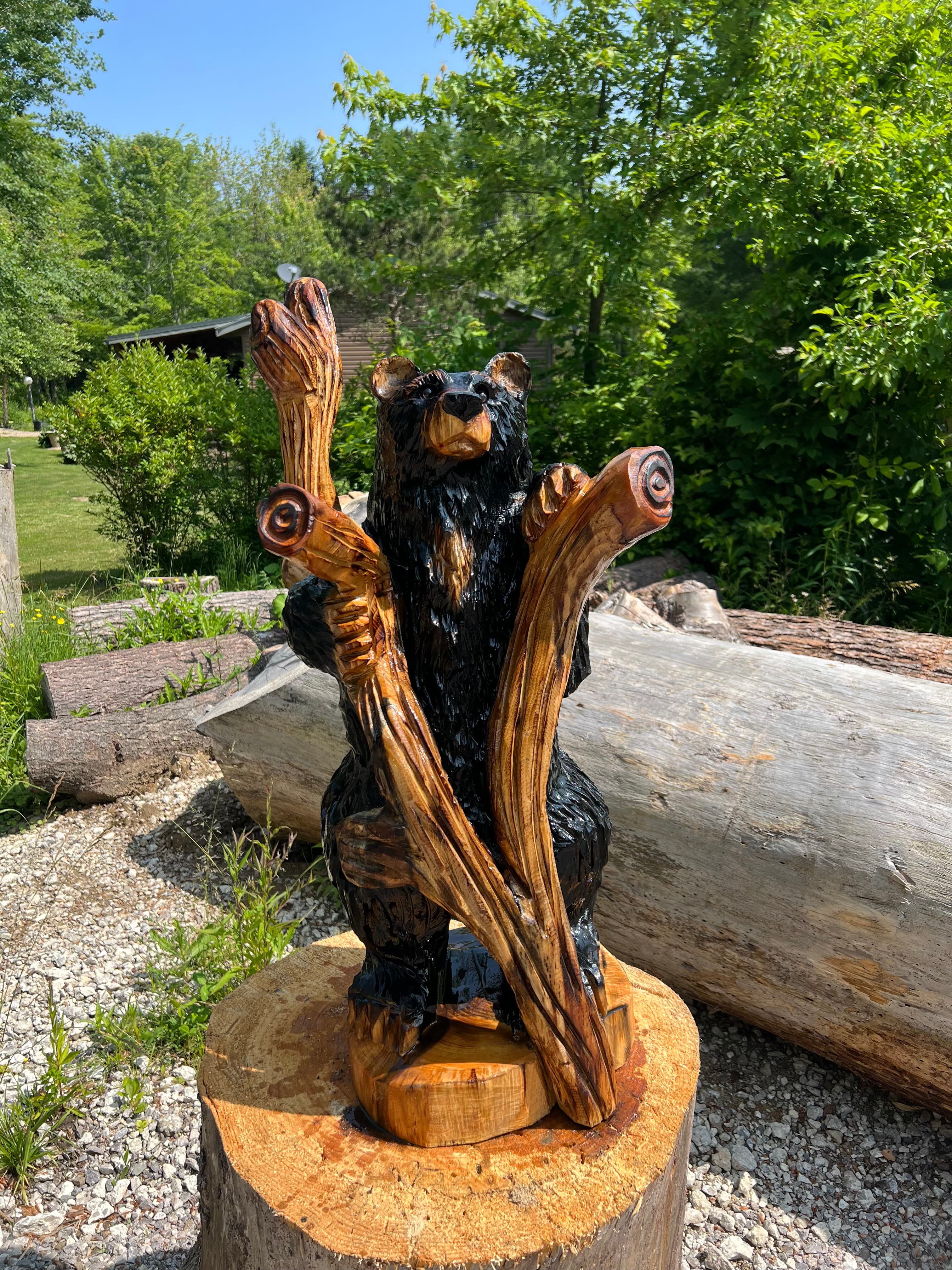 Bear
