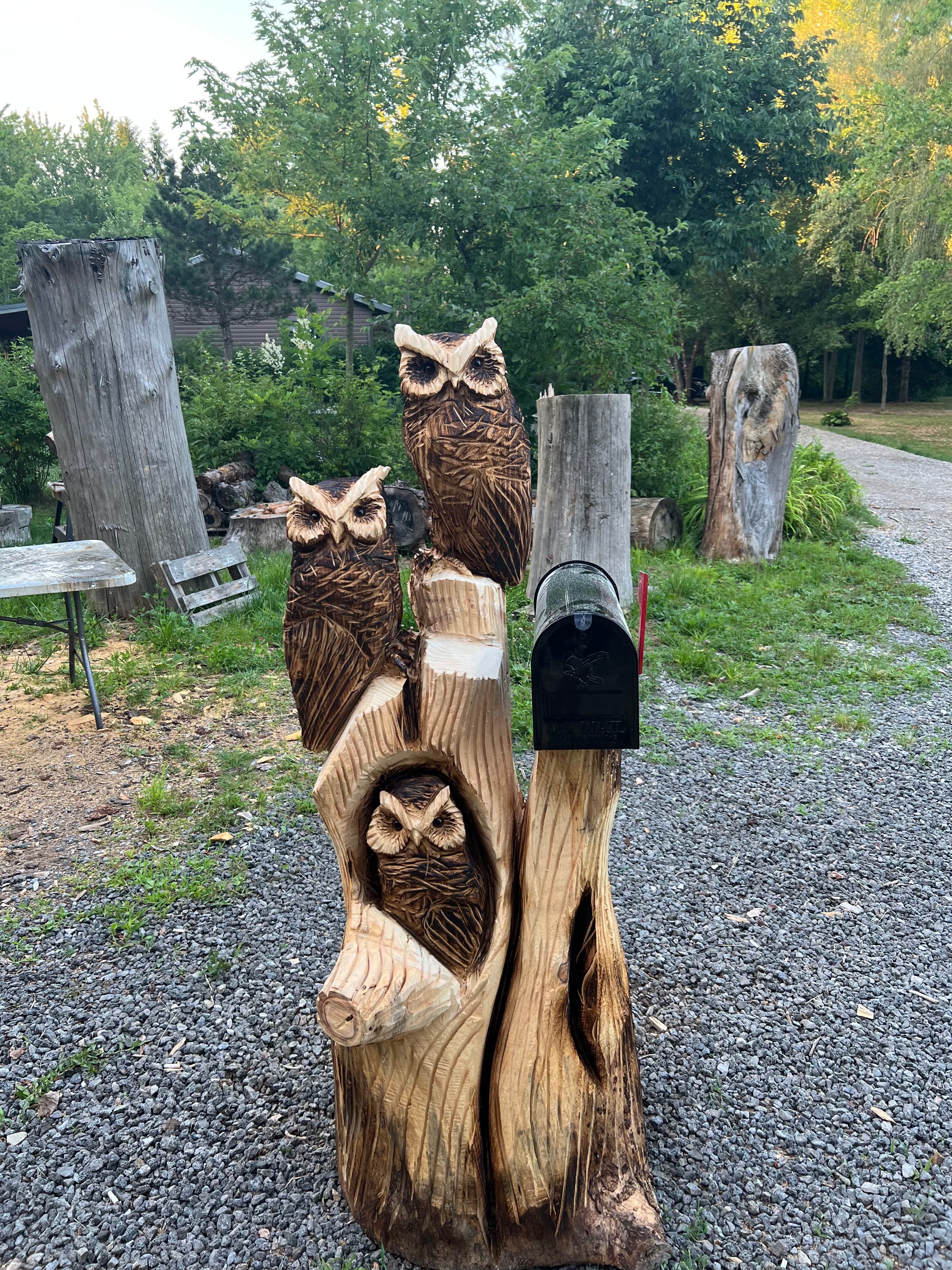 Owl