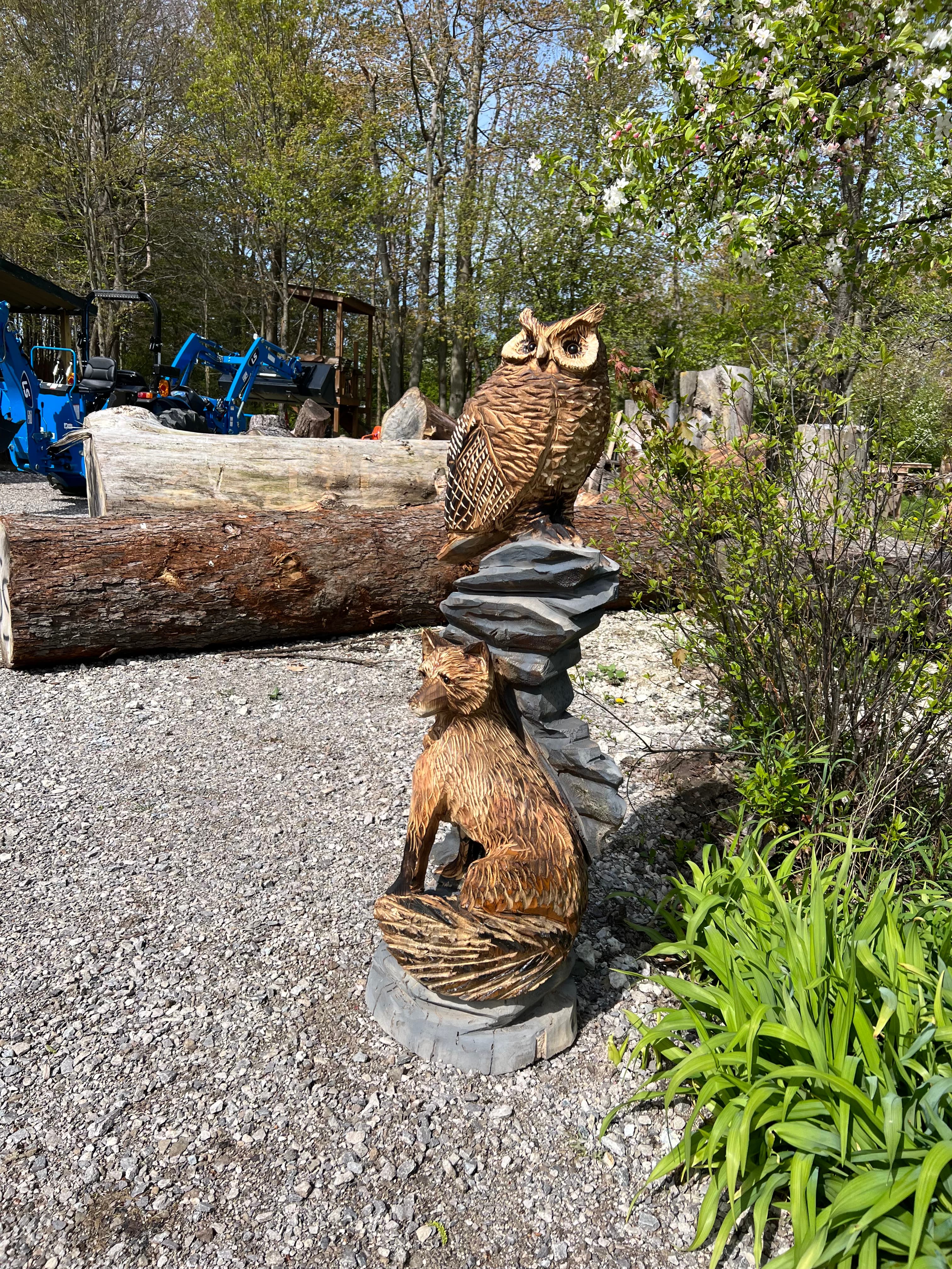 Owl