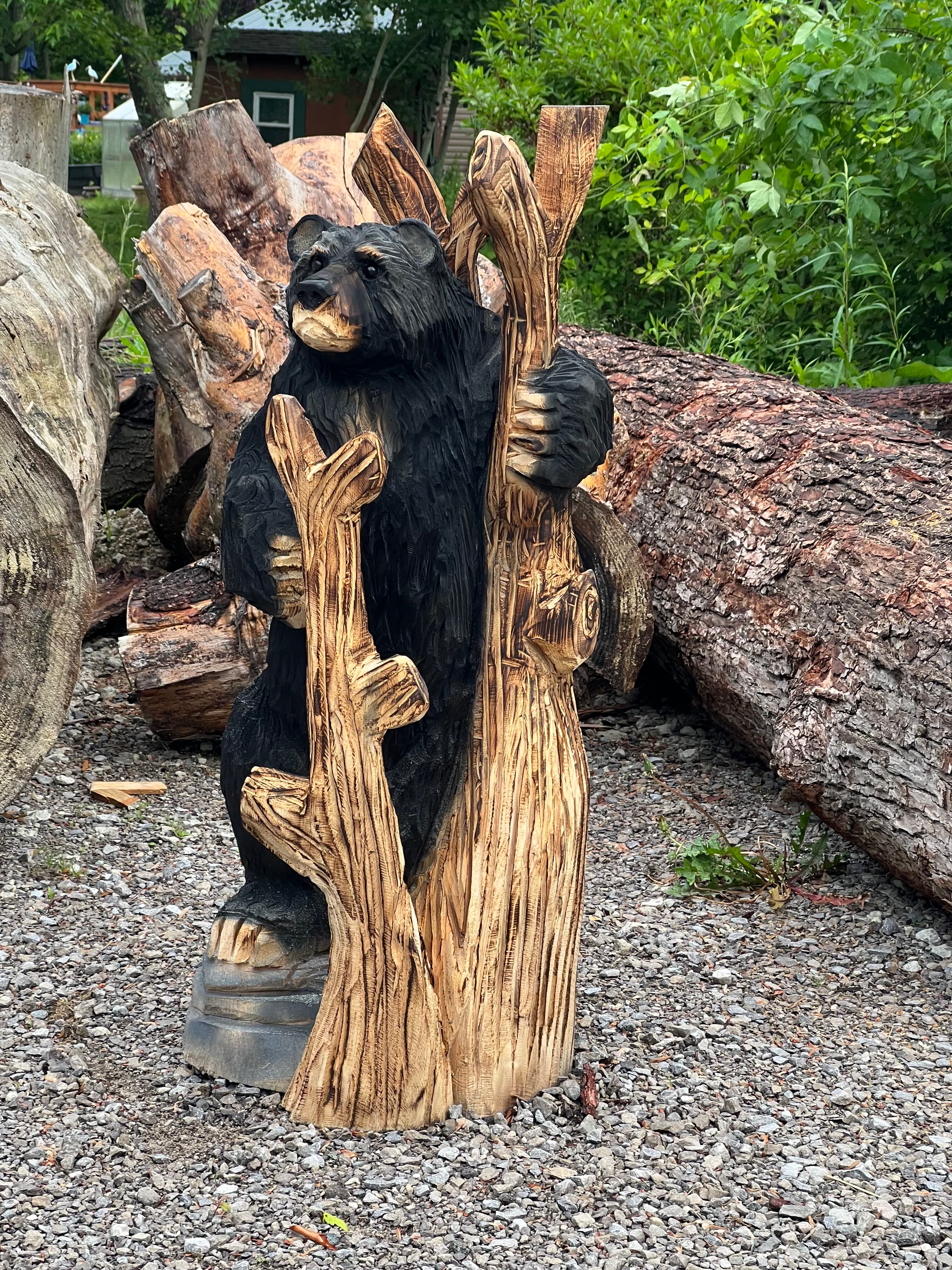 Bear